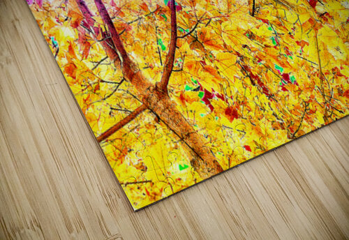 V1535 Natalie Stanislavsky puzzle