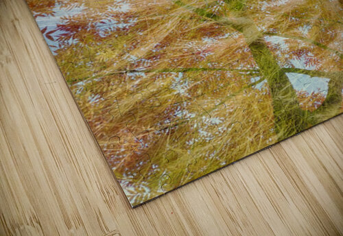 V1537 Natalie Stanislavsky puzzle