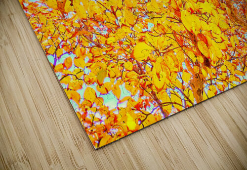 V1539 Natalie Stanislavsky puzzle