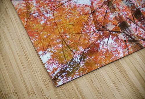 V1543 Natalie Stanislavsky puzzle
