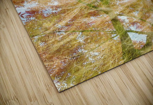 V1547 Natalie Stanislavsky puzzle