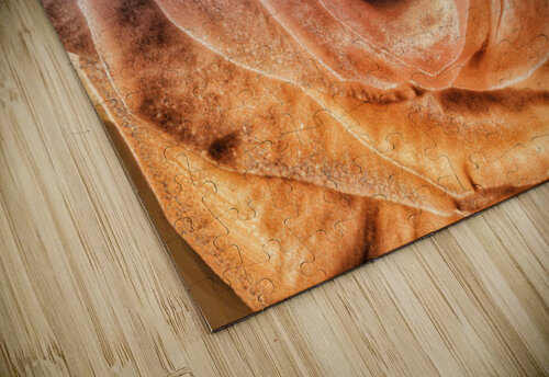 V1549 Natalie Stanislavsky puzzle