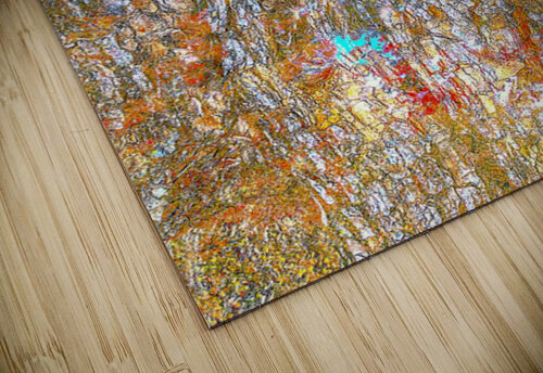 V1554 Natalie Stanislavsky puzzle