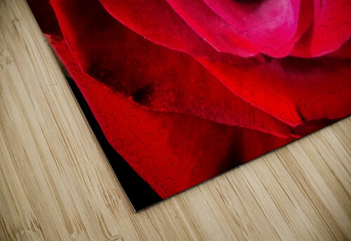 V1558 Natalie Stanislavsky puzzle