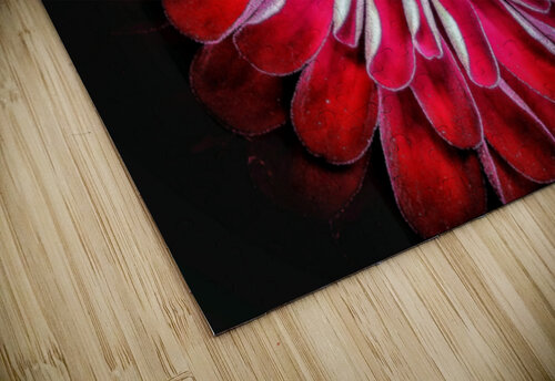V1565 Natalie Stanislavsky puzzle