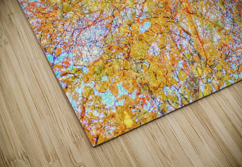 V1566 Natalie Stanislavsky puzzle