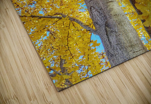 V1568 Natalie Stanislavsky puzzle
