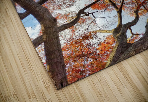 V1570 Natalie Stanislavsky puzzle