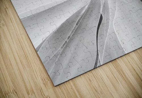 V1574 Natalie Stanislavsky puzzle