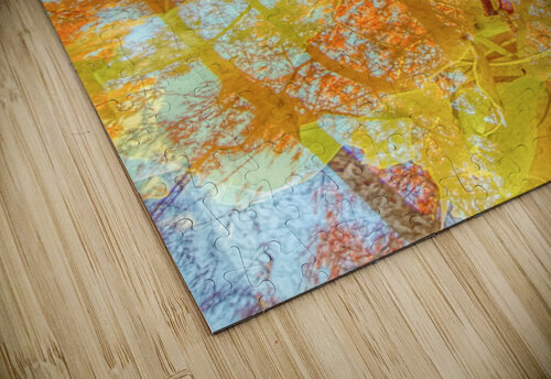 V1584 Natalie Stanislavsky puzzle