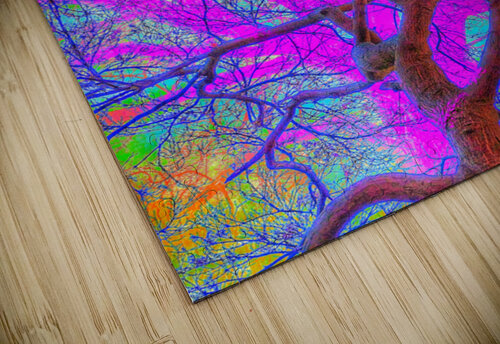 V1589 Natalie Stanislavsky puzzle