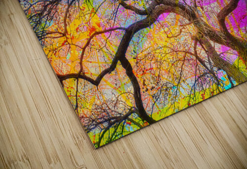 V1593 Natalie Stanislavsky puzzle