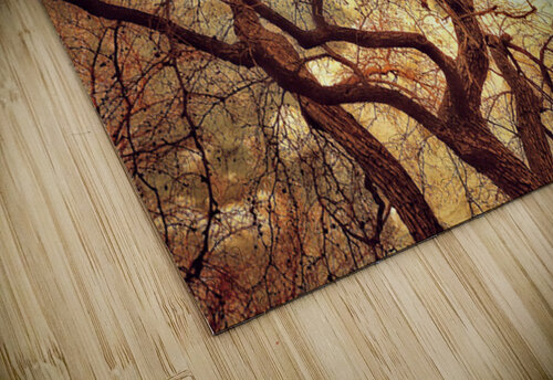 V1597 Natalie Stanislavsky puzzle