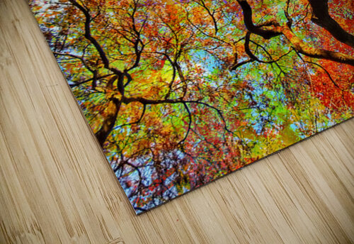 V1600 Natalie Stanislavsky puzzle