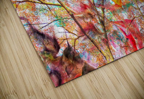 V1605 Natalie Stanislavsky puzzle