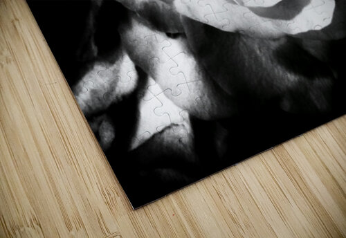 V1621 Natalie Stanislavsky puzzle