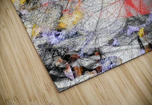 V1623 Natalie Stanislavsky puzzle