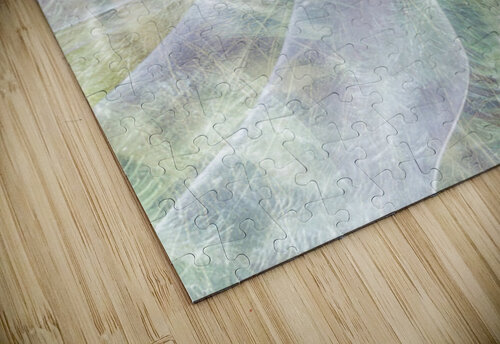 V1644 Natalie Stanislavsky puzzle