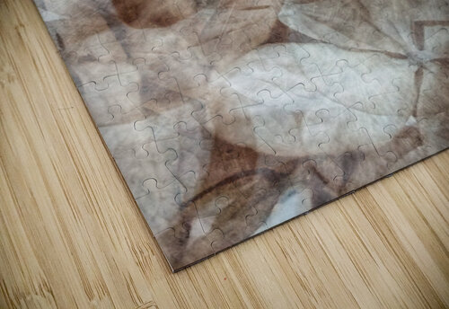 V1662 Natalie Stanislavsky puzzle