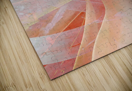 V1667 Natalie Stanislavsky puzzle