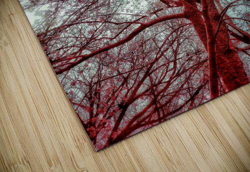 V1668 Natalie Stanislavsky puzzle