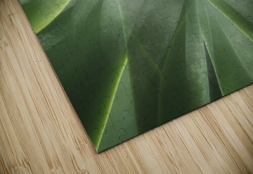 V1669 Natalie Stanislavsky puzzle
