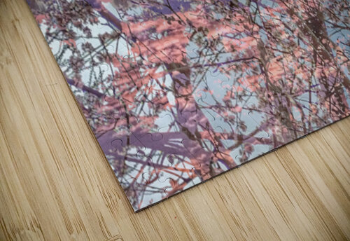 V1675 Natalie Stanislavsky puzzle