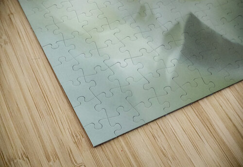V1682 Natalie Stanislavsky puzzle