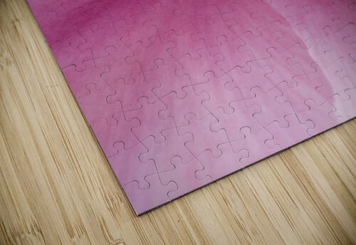 V1689 Natalie Stanislavsky puzzle