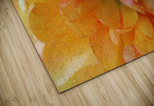 V1690 Natalie Stanislavsky puzzle