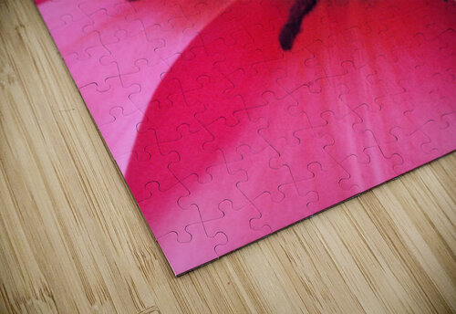 V1691 Natalie Stanislavsky puzzle