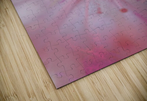 V1708 Natalie Stanislavsky puzzle