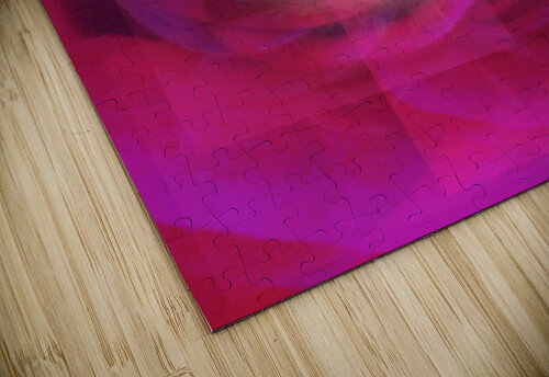 V1709 Natalie Stanislavsky puzzle