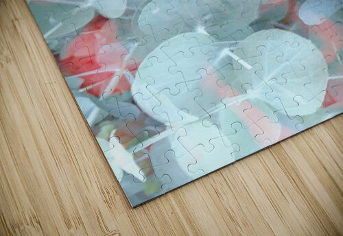 V1730 Natalie Stanislavsky puzzle