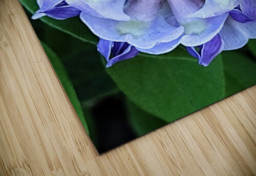 V13 Natalie Stanislavsky puzzle