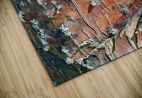 V16 Natalie Stanislavsky puzzle