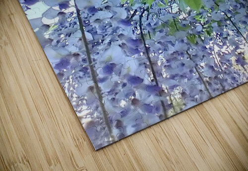 V30 Natalie Stanislavsky puzzle