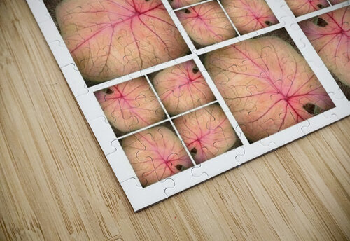 V33 Natalie Stanislavsky puzzle