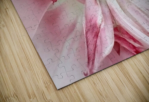 V35 Natalie Stanislavsky puzzle