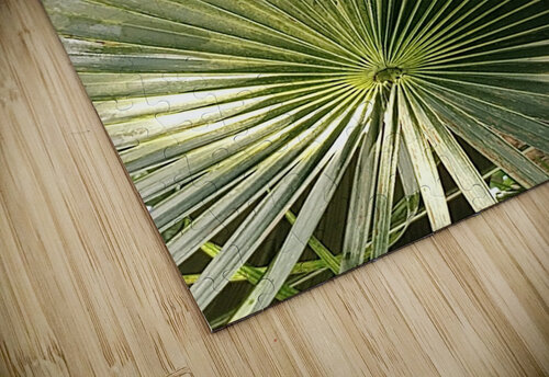 V47 Natalie Stanislavsky puzzle