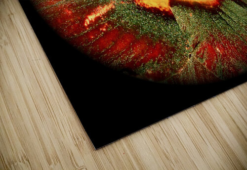 V50 Natalie Stanislavsky puzzle