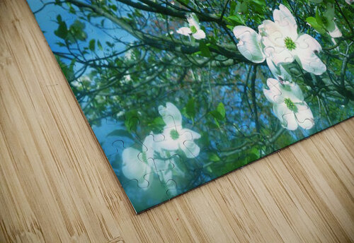 V55 Natalie Stanislavsky puzzle