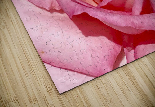 V67 Natalie Stanislavsky puzzle