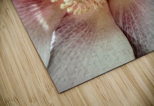 V72 Natalie Stanislavsky puzzle