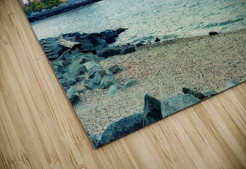 V86 Natalie Stanislavsky puzzle
