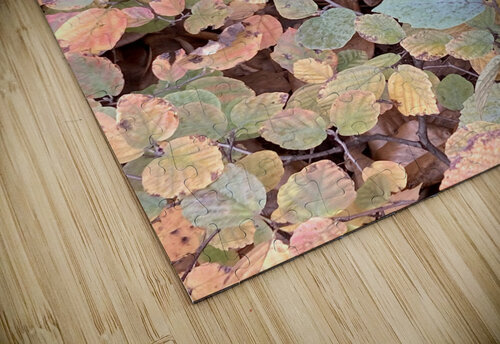 V94 Natalie Stanislavsky puzzle