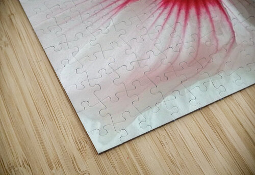 V96 Natalie Stanislavsky puzzle
