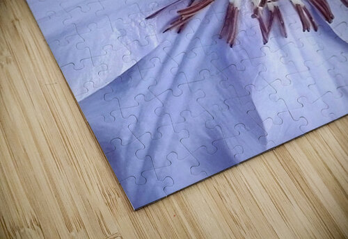 V119 Natalie Stanislavsky puzzle