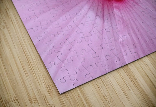 V120 Natalie Stanislavsky puzzle