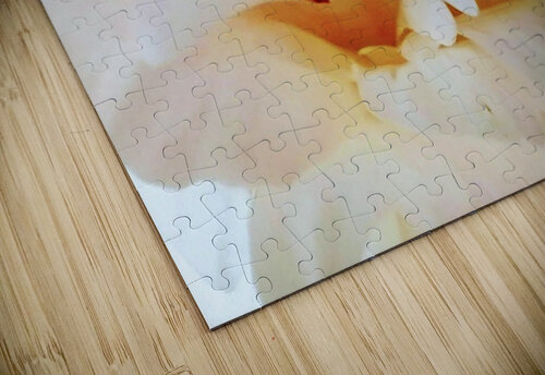 V129 Natalie Stanislavsky puzzle